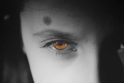 Golden Eye Portrait in Black and White - free people & portraits wallpaper 6144×4097