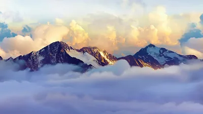 Alpine Peaks Rising Through Golden Clouds - free nature wallpaper 7680×4320