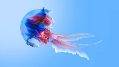 Ethereal Blue Jellyfish in Motion - free abstract wallpaper 3840×2160