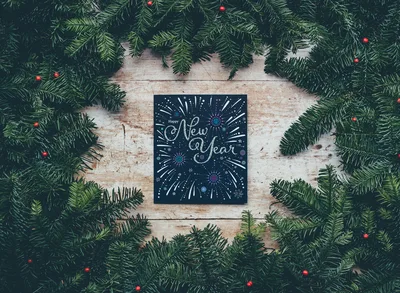 Festive New Year Greetings Among Evergreen Branches - free nature wallpaper 4000×2929