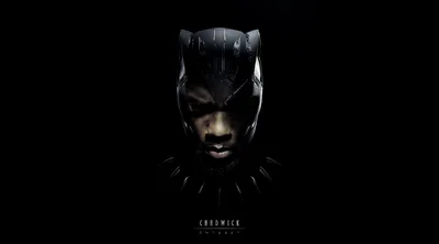 Black Panther Legacy: A Tribute to Chadwick Boseman - free wallpaper 4500×2500
