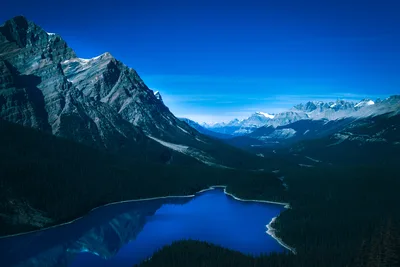 Peyto Lake's Pristine Blue Reflection in the Canadian Rockies - free nature wallpaper 6016×4016