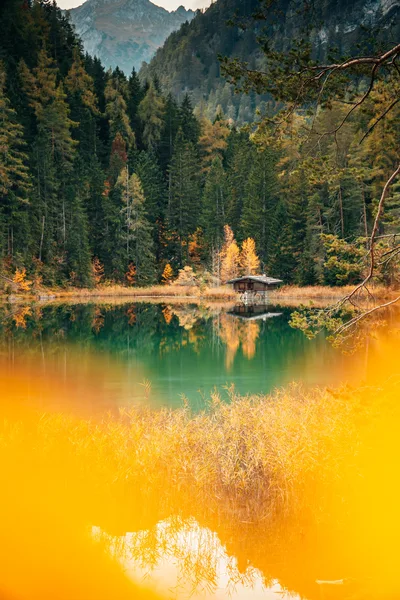 Alpine Lake Serenity in Autumn Forest - free nature wallpaper 4000×6000