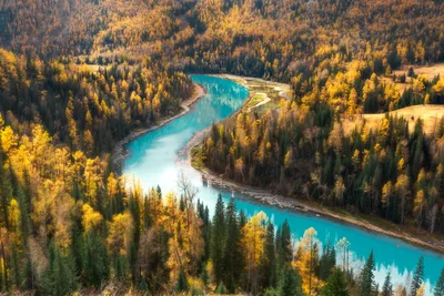 Turquoise River Through Golden Forest Autumn - free nature wallpaper 5767×3844