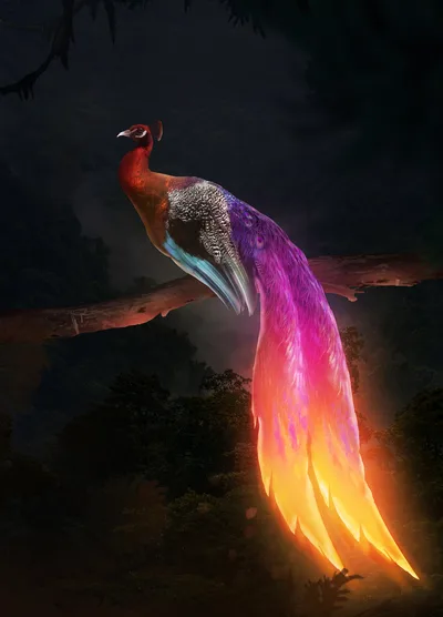 Mythical Phoenix Peacock in Luminous Night - free fantasy wallpaper 3840×5340