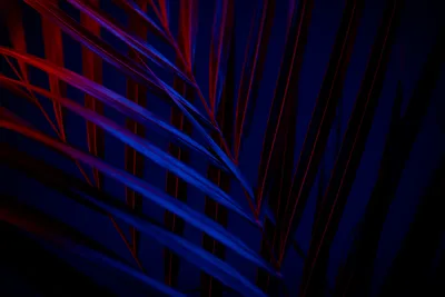 Neon Leaf Geometry Dark - free dark wallpaper 6720×4480