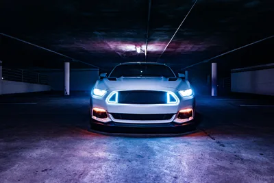 Neon Muscle: White Mustang GT in the Dark - free cars & vehicles wallpaper 6000×4000