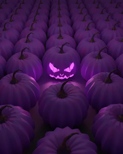 Purple Pumpkin Patch: Glowing Evil - free nature wallpaper 4000×5000