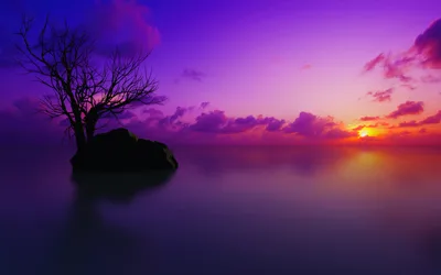 Purple Dusk Over Maldives: Lone Tree at Sunset - free nature wallpaper 3840×2400