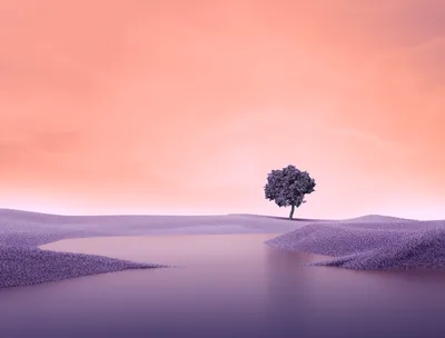 Solitary Tree by Purple Waters - free nature wallpaper 4096×3112
