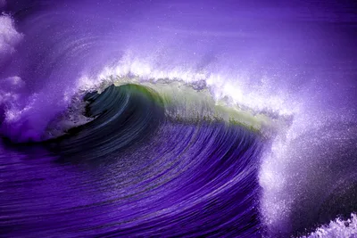 Purple Ocean Wave in Motion - free nature wallpaper 8256×5504