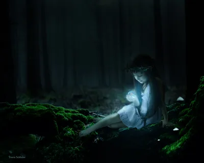 Enchanted Forest Magic - free fantasy wallpaper 3840×3072