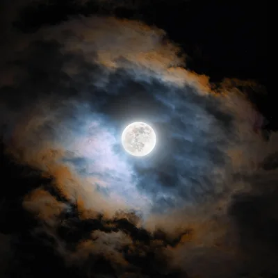 Moonlit Veil: Glowing Through the Darkness - free space wallpaper 12240×12239