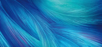 Azure Feather Flow - Digital Dream - free abstract wallpaper 8667×4000
