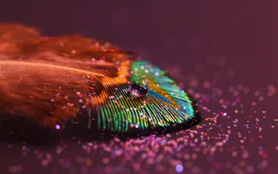 Iridescent Dreams: Peacock Feather in Macro - free photography wallpaper 3840×2400