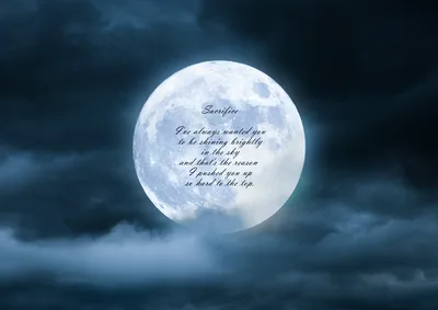 Sacrifice Under The Moonlight - free space wallpaper 3840×2715