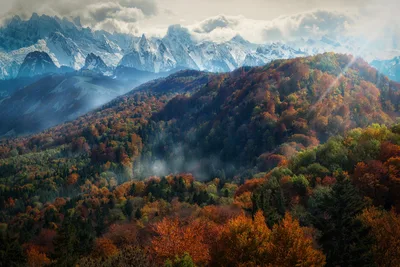 Autumn in the Alps: Where Gold Meets Snow - free nature wallpaper 6143×4100