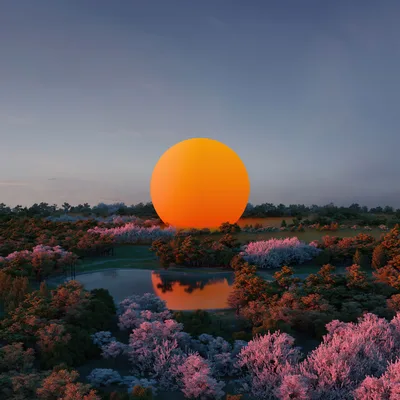 Surreal Sunset Over Blooming Landscape - free nature wallpaper 3840×3840