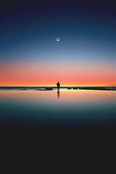 Solitary Soul at Kalaloch Dusk - free nature wallpaper 3840×5760