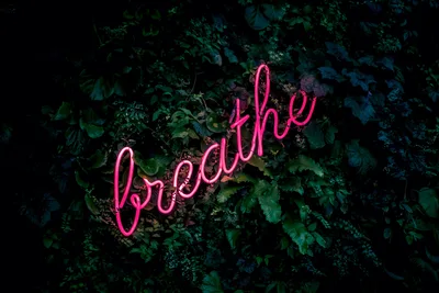 Neon Breathe Among Green Leaves - free cyberpunk wallpaper 3840×2560