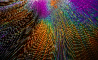 Iridescent Feather Flow - free abstract wallpaper 3840×2374
