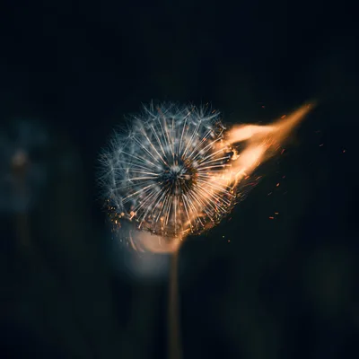 Burning Wishes in the Dark - free nature wallpaper 5120×5120