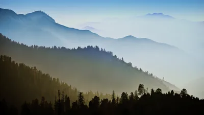 Mountain Mist: Misty Morning Forest Hills - free nature wallpaper 5120×2880