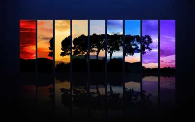 Spectrum of Light: Tree Silhouettes Through Time - free nature wallpaper 3840×2400