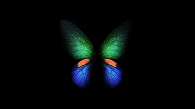 Luminous Fold Butterfly On Black - free dark wallpaper 4600×2560