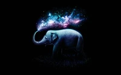 Cosmic Wonder Elephant - free fantasy wallpaper 8000×5000