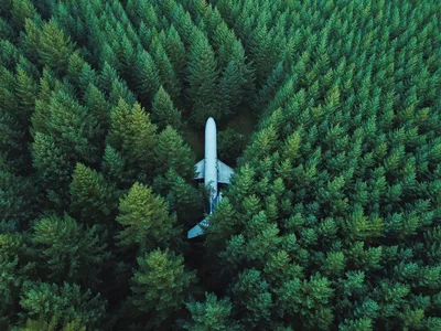 Plane Over Alpine Forest Canopy - free photography wallpaper 4000×3000