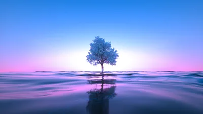 Neon Tree Reflecting in Twilight Waters - free nature wallpaper 6000×3375