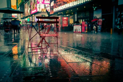 Wet Urban Street with Shopping Cart and Neon Signs - free city & urban wallpaper 5976×3992