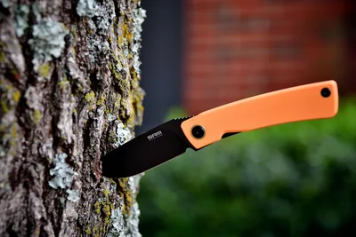Orange and Black Knife Against Lichen-Covered Tree Bark - free weapons wallpaper 6000×4000