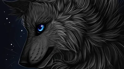 Midnight Wolf: Glowing Eyes in the Dark - free wallpaper 1920×1080
