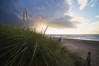 Coastal Beach Dunes at Golden Hour - free landscapes wallpaper 6144×4096