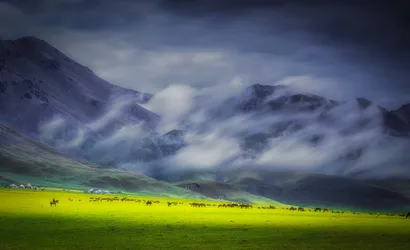 Mountain Valley Pasture With Grazing Herds and Mist - free landscapes wallpaper 2048×1250