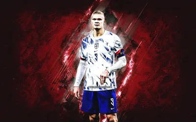 Erling Haaland: Norway's Football Sensation - free sports wallpaper 2880×1800