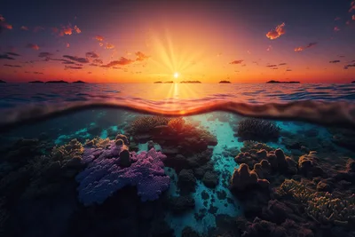 Coral Reef Sunset: Golden Light Meets Ocean Depths - free nature wallpaper 9216×6144