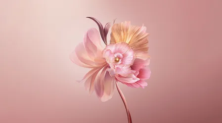 Delicate Pink Blossom in Pastel Dreams - free abstract wallpaper 4600×2560