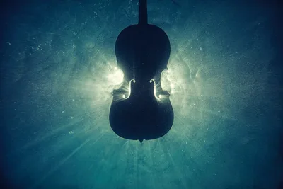 Underwater Violin Silhouette - free photography wallpaper 5616×3744