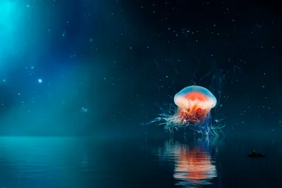 Bioluminescent Dream: Jellyfish in the Night - free wallpaper 7087×4724