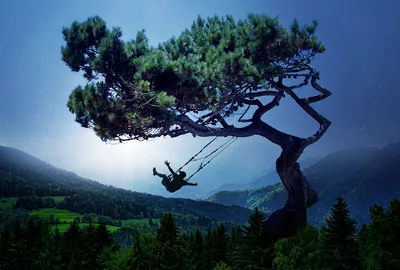 Ethereal Morning Swing Through Alpine Dreams - free nature wallpaper 6642×4480