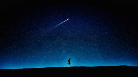 Solitary Wonder Beneath the Starry Night - free wallpaper 3840×2160