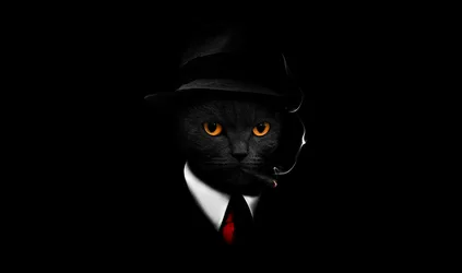 Mysterious Cat in Black Suit and Hat - free animals wallpaper 4000×2366