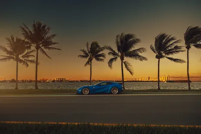 Trees and Sky - free cars & vehicles wallpaper 2048×1365