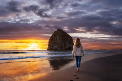 Brown-Haired Beauty at the Beach - free people & portraits wallpaper 2880×1920