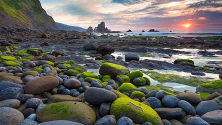 Moss-Covered Rocks at Sunset Shore - free wallpaper 7680×4320