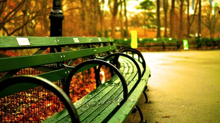 Autumn Park Bench Along The Wooded Path - free city & urban wallpaper 3840×2160