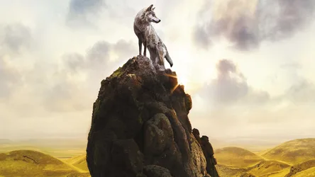 Lone Wolf's Vigil Over Golden Lands - free animals wallpaper 7680×4320